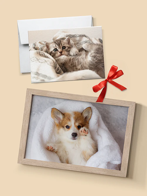 Cadeaus voor Dierenliefhebbers